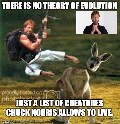 Theory of Evolution  | THERE IS NO THEORY OF EVOLUTION; JUST A LIST OF CREATURES CHUCK NORRIS ALLOWS TO LIVE. | image tagged in chuck norris | made w/ Imgflip meme maker