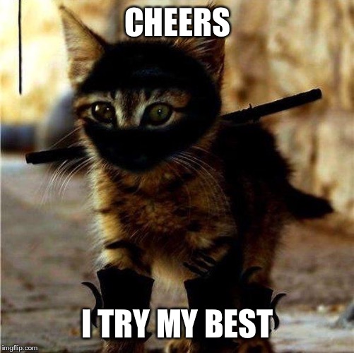 Ninja Cat | CHEERS I TRY MY BEST | image tagged in ninja cat | made w/ Imgflip meme maker