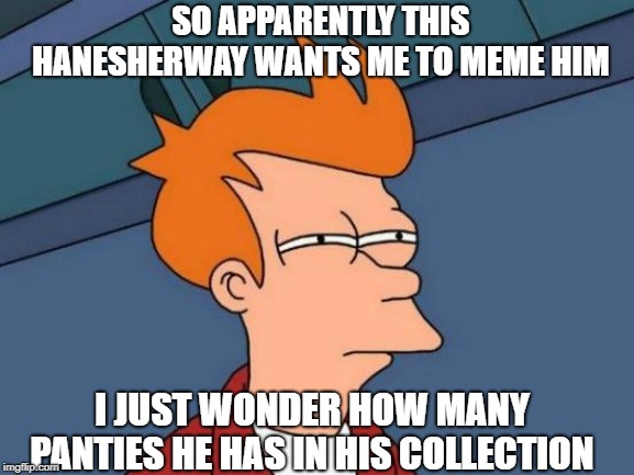 I hate to be skeptical but had to be done  | SO APPARENTLY THIS  HANESHERWAY WANTS ME TO MEME HIM; I JUST WONDER HOW MANY PANTIES HE HAS IN HIS COLLECTION | image tagged in memes,futurama fry | made w/ Imgflip meme maker