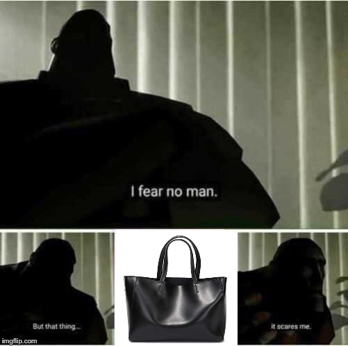 When asked to.. do you dare enter the void? | image tagged in i fear no man,but,handbags,how about no,aint nobody got time for that,black hole | made w/ Imgflip meme maker
