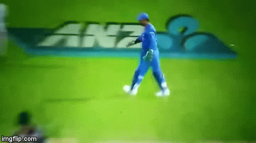 2w8r13.gif
