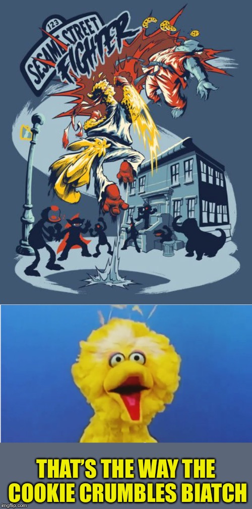 Sesame Street Fighter  | THAT’S THE WAY THE COOKIE CRUMBLES BIATCH | image tagged in video games,sesame street,street fighter,big bird,knockout,cookie monster | made w/ Imgflip meme maker