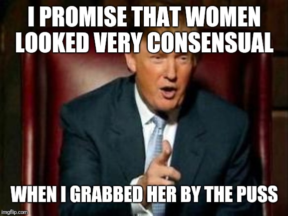 Donald Trump | I PROMISE THAT WOMEN LOOKED VERY CONSENSUAL WHEN I GRABBED HER BY THE PUSS | image tagged in donald trump | made w/ Imgflip meme maker