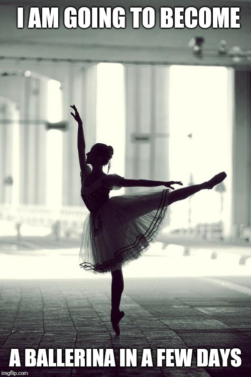 ballerina | I AM GOING TO BECOME; A BALLERINA IN A FEW DAYS | image tagged in ballerina | made w/ Imgflip meme maker