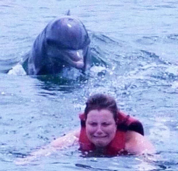Delphin Chasing Woman Blank Meme Template
