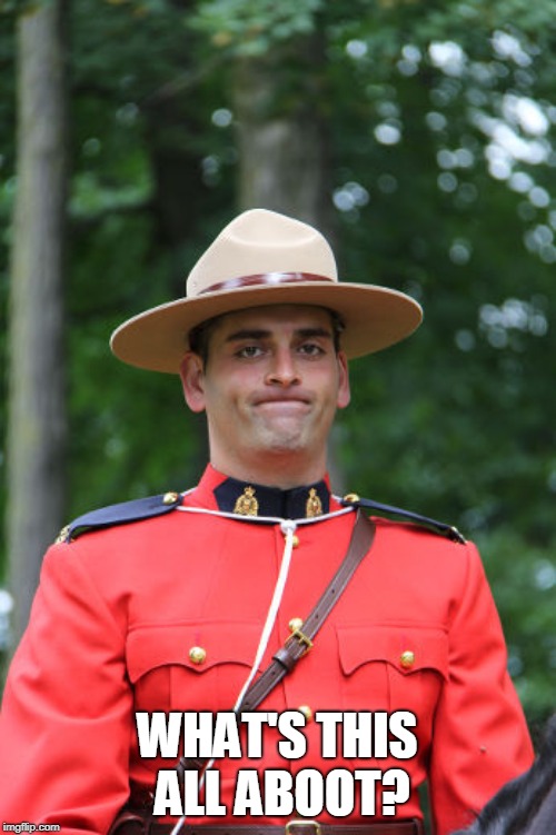 Frowning Mountie | WHAT'S THIS ALL ABOOT? | image tagged in frowning mountie | made w/ Imgflip meme maker