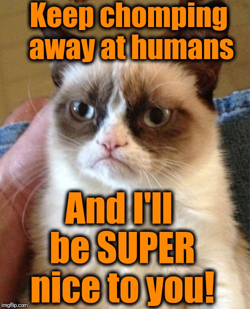 Grumpy Cat Meme | Keep chomping away at humans And I'll be SUPER nice to you! | image tagged in memes,grumpy cat | made w/ Imgflip meme maker