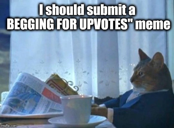 They all seem to reach the top of Page One, so why not? Right? It's getting ridiculous! | I should submit a BEGGING FOR UPVOTES" meme | image tagged in begging,front page,enough is enough | made w/ Imgflip meme maker