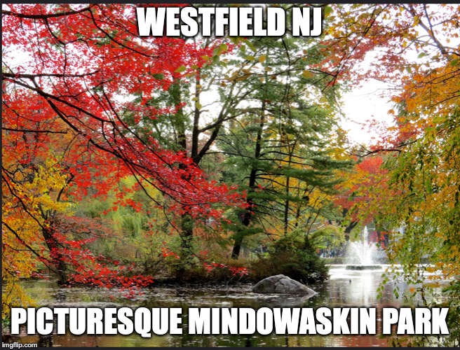 WESTFIELD NJ; PICTURESQUE MINDOWASKIN PARK | image tagged in westfield,mindowaskin park | made w/ Imgflip meme maker