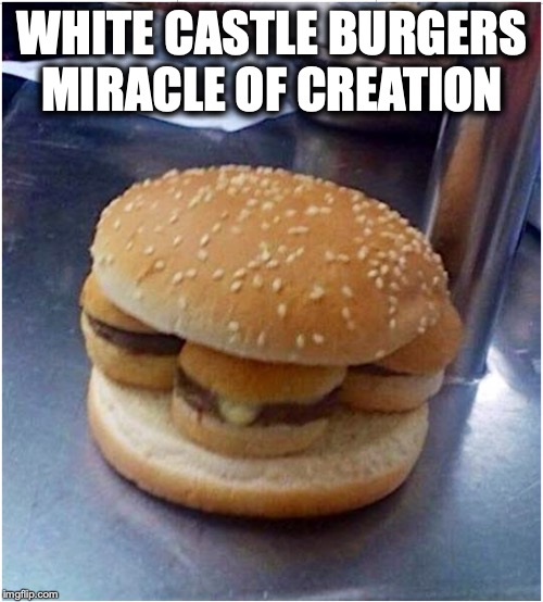 Burger Babies - It’s Triplets!  | WHITE CASTLE BURGERS MIRACLE OF CREATION | image tagged in white castle,burgers,babies | made w/ Imgflip meme maker