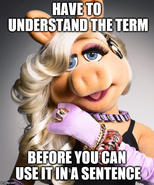 HAVE TO UNDERSTAND THE TERM BEFORE YOU CAN USE IT IN A SENTENCE | made w/ Imgflip meme maker