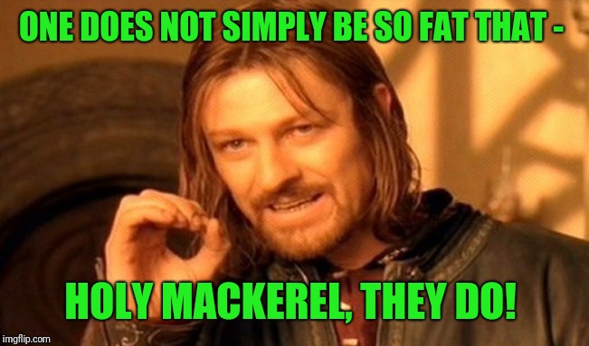 One Does Not Simply Meme | ONE DOES NOT SIMPLY BE SO FAT THAT - HOLY MACKEREL, THEY DO! | image tagged in memes,one does not simply | made w/ Imgflip meme maker