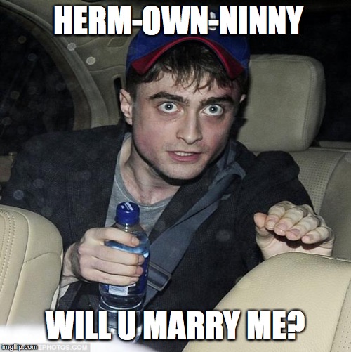 harry potter crazy |  HERM-OWN-NINNY; WILL U MARRY ME? | image tagged in harry potter crazy | made w/ Imgflip meme maker