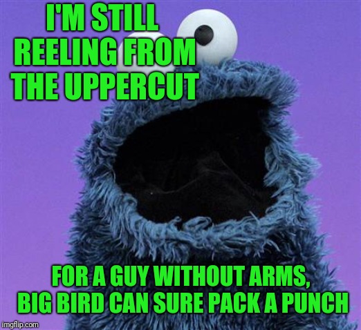 cookie monster | I'M STILL REELING FROM THE UPPERCUT FOR A GUY WITHOUT ARMS, BIG BIRD CAN SURE PACK A PUNCH | image tagged in cookie monster | made w/ Imgflip meme maker