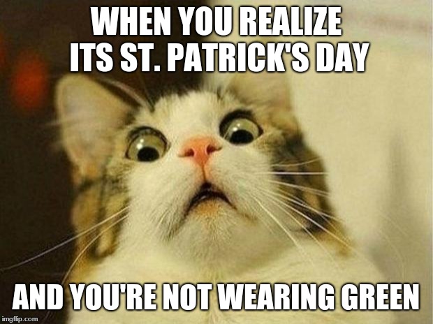 Scared Cat | WHEN YOU REALIZE ITS ST. PATRICK'S DAY; AND YOU'RE NOT WEARING GREEN | image tagged in memes,scared cat | made w/ Imgflip meme maker