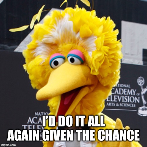 Big Bird Meme | I’D DO IT ALL AGAIN GIVEN THE CHANCE | image tagged in memes,big bird | made w/ Imgflip meme maker