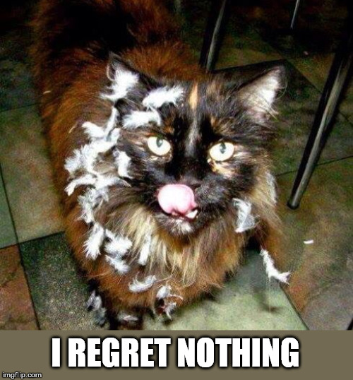 I REGRET NOTHING | made w/ Imgflip meme maker
