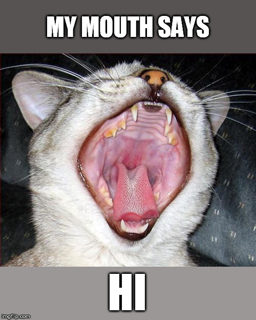 MY MOUTH SAYS HI | made w/ Imgflip meme maker