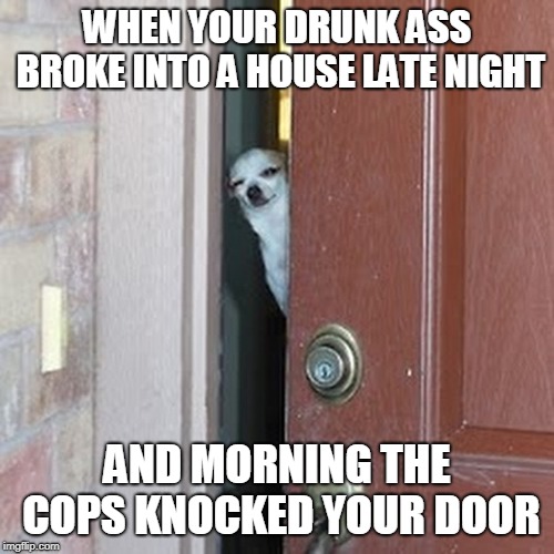 Suspicious Chihuahua |  WHEN YOUR DRUNK ASS BROKE INTO A HOUSE LATE NIGHT; AND MORNING THE COPS KNOCKED YOUR DOOR | image tagged in suspicious chihuahua | made w/ Imgflip meme maker