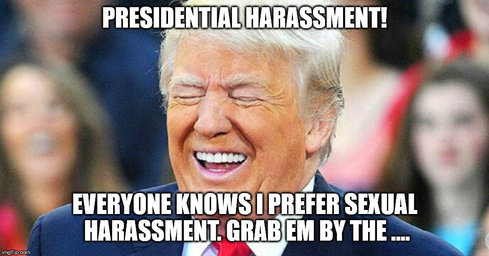 Donald Trump laughing | PRESIDENTIAL HARASSMENT! EVERYONE KNOWS I PREFER SEXUAL HARASSMENT. GRAB EM BY THE .... | image tagged in donald trump laughing | made w/ Imgflip meme maker