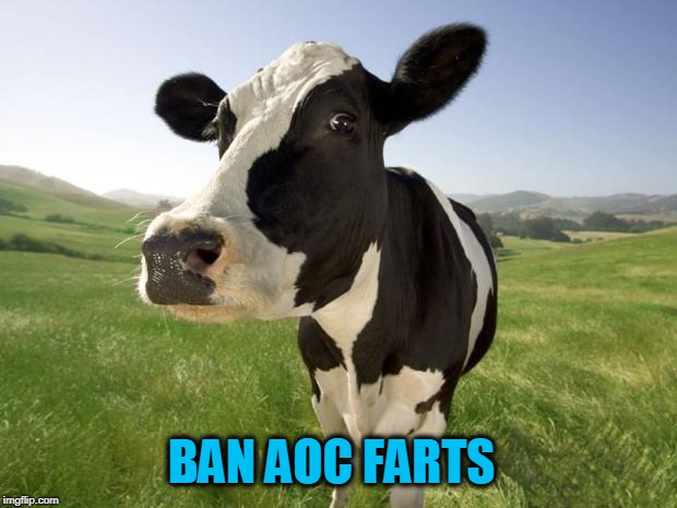 cow | BAN AOC FARTS | image tagged in cow | made w/ Imgflip meme maker