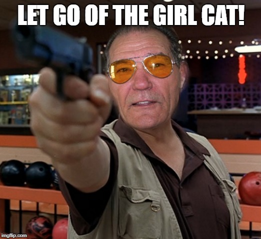 kewlew | LET GO OF THE GIRL CAT! | image tagged in kewlew | made w/ Imgflip meme maker