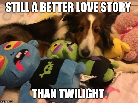 doggo week a 1forpeace and blaze_the_blaziken event  | STILL A BETTER LOVE STORY; THAN TWILIGHT | image tagged in dog snuggling with zombie | made w/ Imgflip meme maker