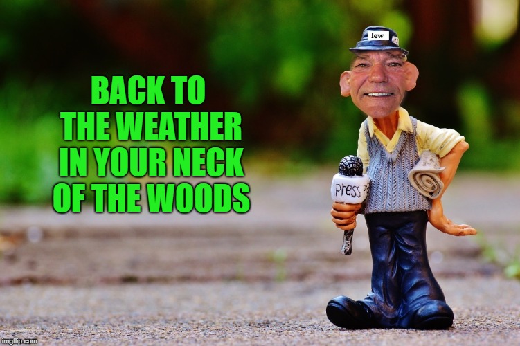 lew's new's | BACK TO THE WEATHER IN YOUR NECK OF THE WOODS | image tagged in lew's new's | made w/ Imgflip meme maker