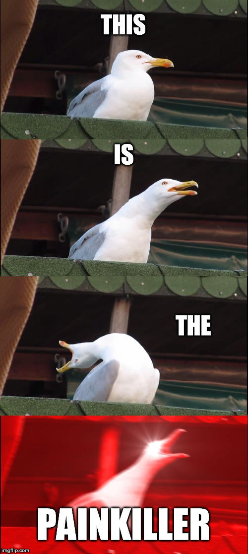 Inhaling Seagull Meme | THIS IS THE PAINKILLER | image tagged in memes,inhaling seagull | made w/ Imgflip meme maker