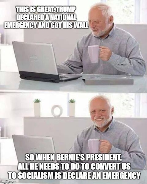 Hide the Pain Harold Meme | THIS IS GREAT. TRUMP DECLARED A NATIONAL EMERGENCY AND GOT HIS WALL; SO WHEN BERNIE'S PRESIDENT, ALL HE NEEDS TO DO TO CONVERT US TO SOCIALISM IS DECLARE AN EMERGENCY | image tagged in memes,hide the pain harold | made w/ Imgflip meme maker