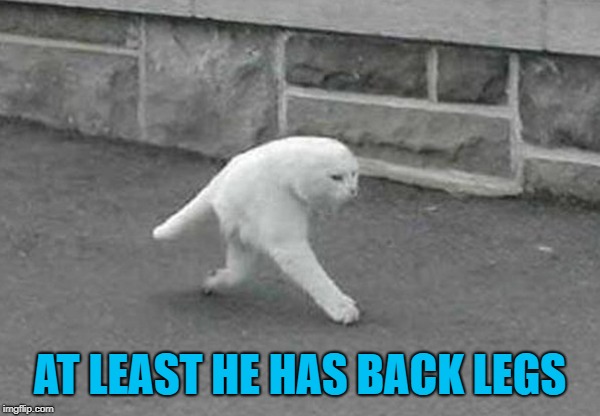 AT LEAST HE HAS BACK LEGS | made w/ Imgflip meme maker