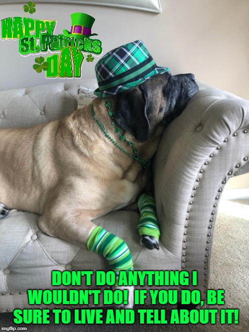 Happy St. Patrick's Day!! | DON'T DO ANYTHING I WOULDN'T DO!  IF YOU DO, BE SURE TO LIVE AND TELL ABOUT IT! | image tagged in st patrick's day,dog,funny dog,hangover,mastif,drunk | made w/ Imgflip meme maker