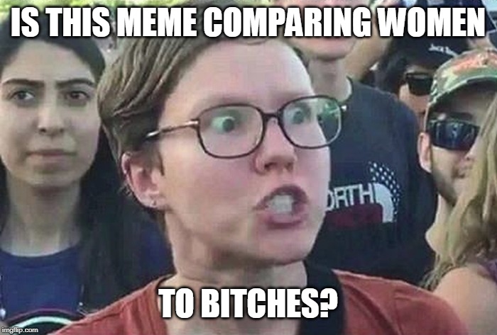 Triggered Liberal | IS THIS MEME COMPARING WOMEN TO B**CHES? | image tagged in triggered liberal | made w/ Imgflip meme maker