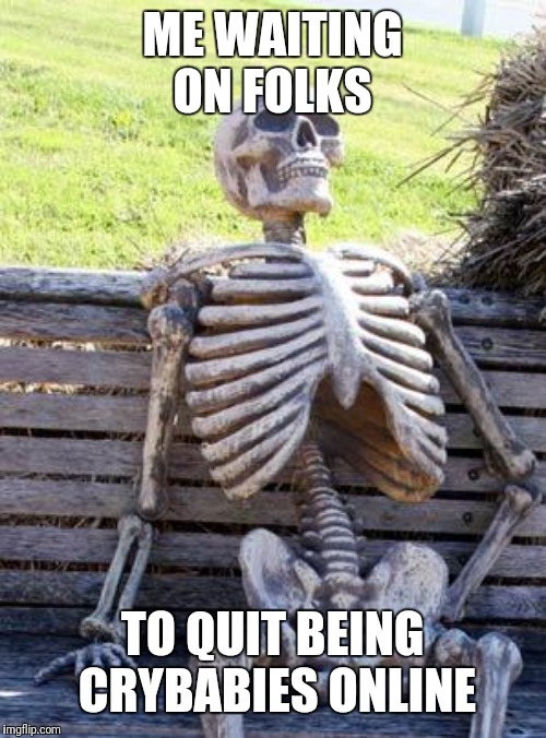 Waiting Skeleton Meme | ME WAITING ON FOLKS; TO QUIT BEING CRYBABIES ONLINE | image tagged in memes,waiting skeleton | made w/ Imgflip meme maker