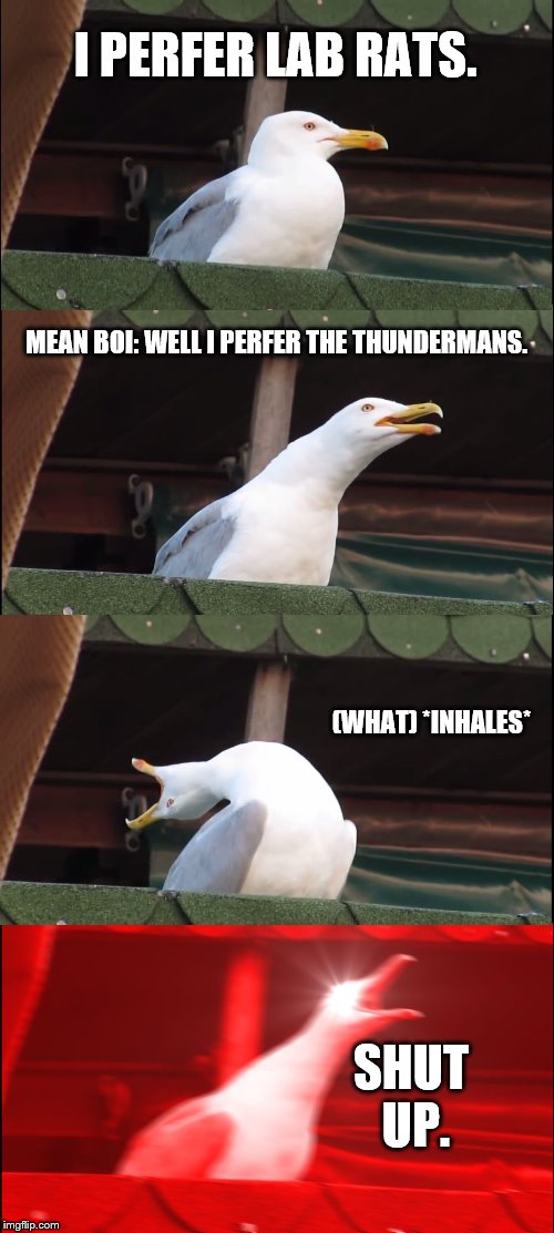 Inhaling Seagull Meme | I PERFER LAB RATS. MEAN BOI: WELL I PERFER THE THUNDERMANS. (WHAT) *INHALES*; SHUT UP. | image tagged in memes,inhaling seagull | made w/ Imgflip meme maker