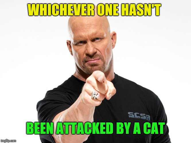 Steve Austin | WHICHEVER ONE HASN'T BEEN ATTACKED BY A CAT | image tagged in steve austin | made w/ Imgflip meme maker