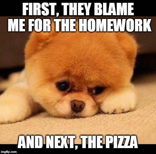 sad dog | FIRST, THEY BLAME ME FOR THE HOMEWORK AND NEXT, THE PIZZA | image tagged in sad dog | made w/ Imgflip meme maker