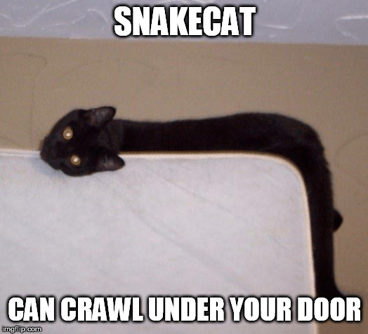 SNAKECAT CAN CRAWL UNDER YOUR DOOR | made w/ Imgflip meme maker