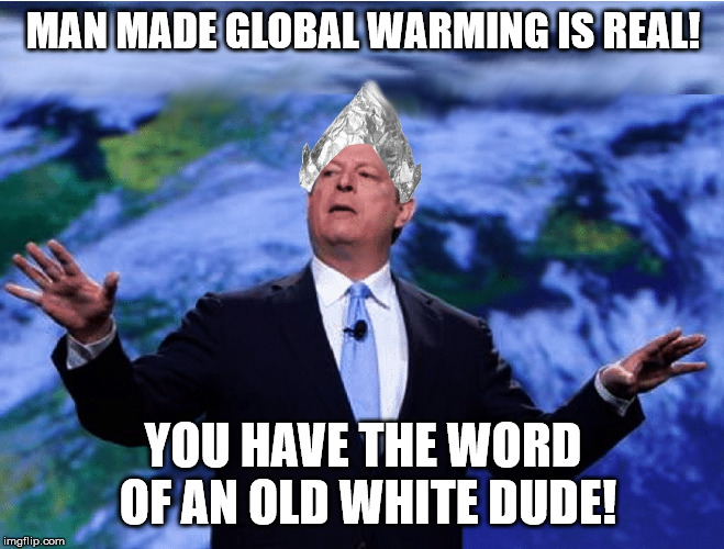 AL GORE | MAN MADE GLOBAL WARMING IS REAL! YOU HAVE THE WORD OF AN OLD WHITE DUDE! | image tagged in al gore | made w/ Imgflip meme maker