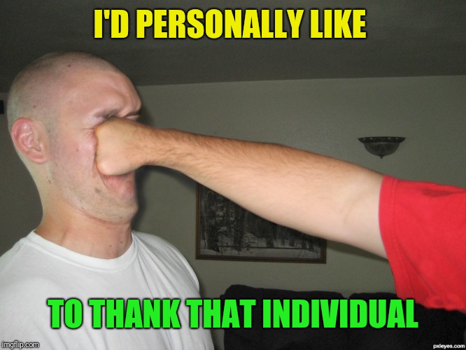 Face punch | I'D PERSONALLY LIKE TO THANK THAT INDIVIDUAL | image tagged in face punch | made w/ Imgflip meme maker