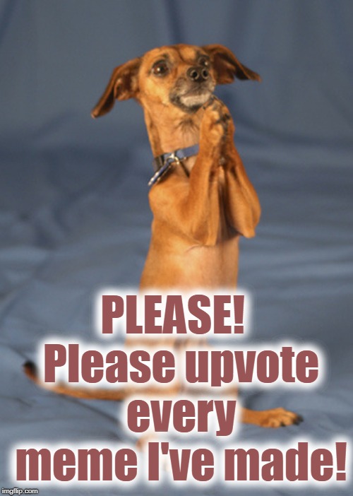 Begging dog | PLEASE!  Please upvote every meme I've made! | image tagged in begging dog | made w/ Imgflip meme maker