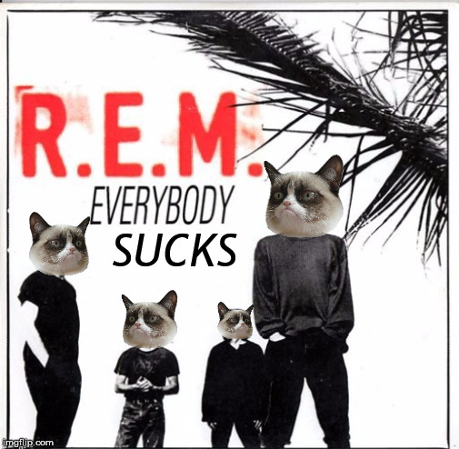Credit to Dr.Strangmeme | SUCKS | image tagged in grumpy cat,suck,music,song,rem | made w/ Imgflip meme maker