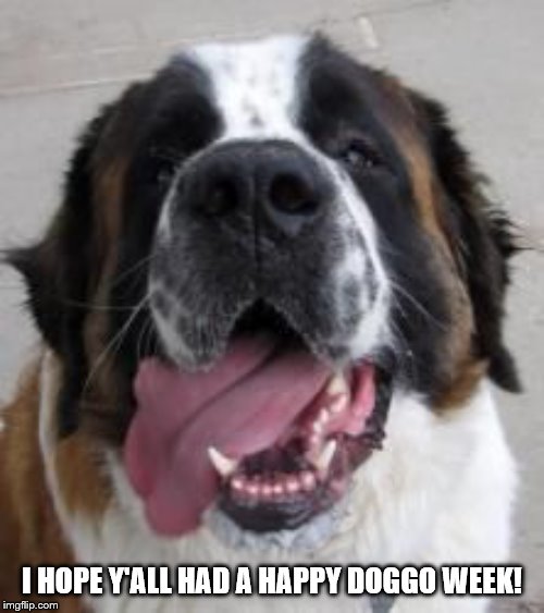 Doggo week is over, I hope everyone had a good time! | I HOPE Y'ALL HAD A HAPPY DOGGO WEEK! | image tagged in doggo,doggo week,pupper,dog,meme,fluffy | made w/ Imgflip meme maker