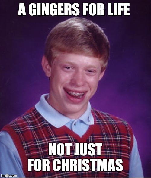 Bad Luck Brian | A GINGERS FOR LIFE; NOT JUST FOR CHRISTMAS | image tagged in memes,bad luck brian | made w/ Imgflip meme maker