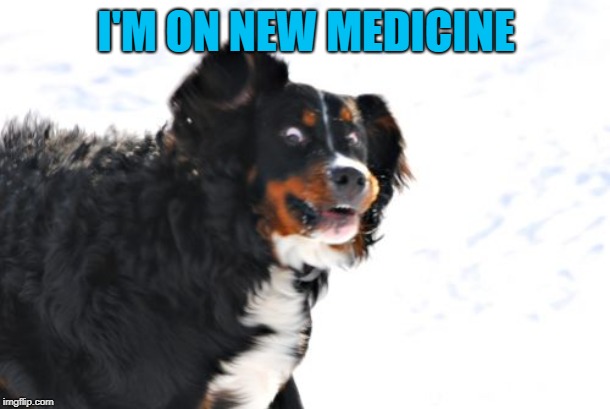 Crazy Dawg Meme | I'M ON NEW MEDICINE | image tagged in memes,crazy dawg | made w/ Imgflip meme maker