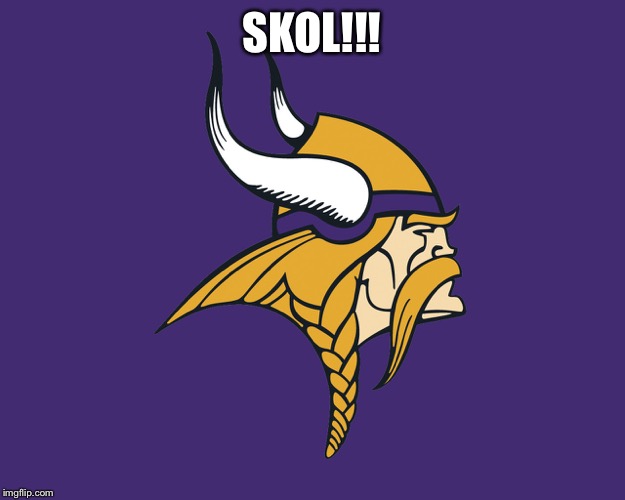 Minnesota Vikings | SKOL!!! | image tagged in minnesota vikings | made w/ Imgflip meme maker