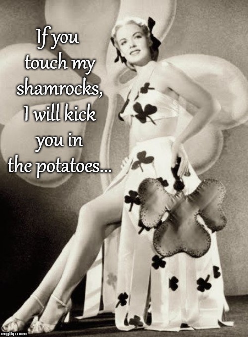 Shamrocks... | If you touch my shamrocks, I will kick you in the potatoes... | image tagged in touch,potatoes,shamrocks,kick | made w/ Imgflip meme maker