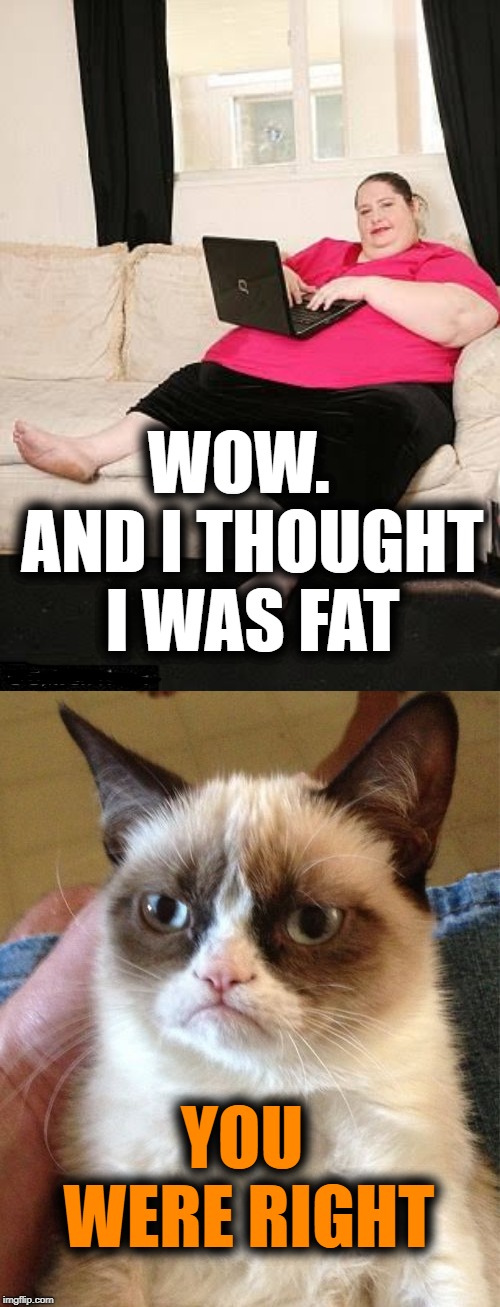 YOU WERE RIGHT WOW.  AND I THOUGHT I WAS FAT | image tagged in memes,grumpy cat,fat woman on computer | made w/ Imgflip meme maker