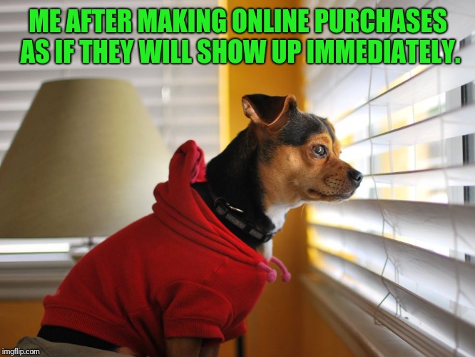 Dog waiting at window | ME AFTER MAKING ONLINE PURCHASES AS IF THEY WILL SHOW UP IMMEDIATELY. | image tagged in dog waiting at window | made w/ Imgflip meme maker
