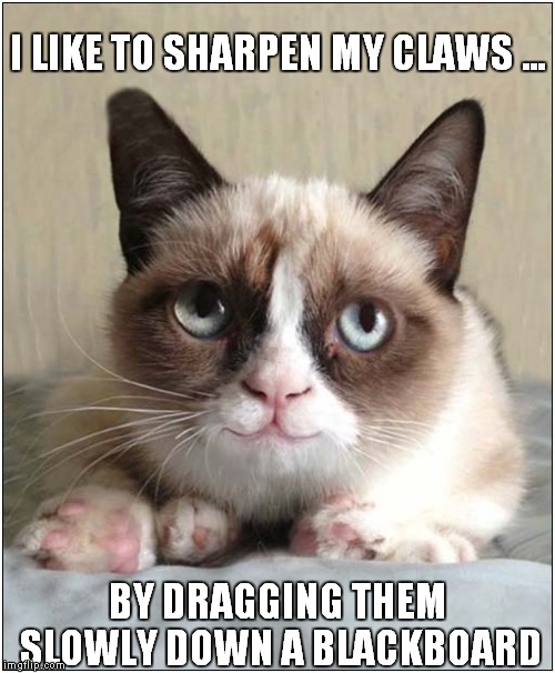 What a Horrible Noise ! | I LIKE TO SHARPEN MY CLAWS ... BY DRAGGING THEM SLOWLY DOWN A BLACKBOARD | image tagged in cats,grumpy cat | made w/ Imgflip meme maker